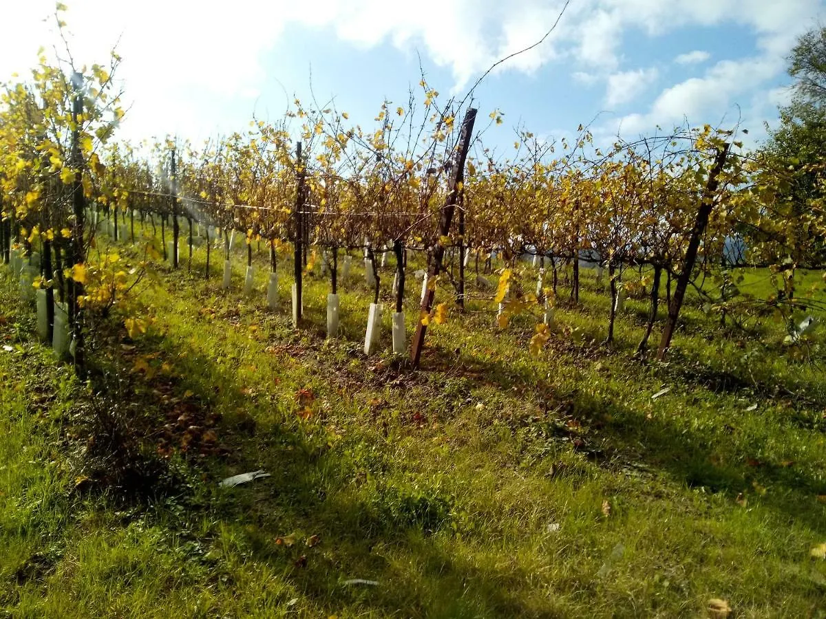 Agriturismo Marzolara. Monzuno 0*,